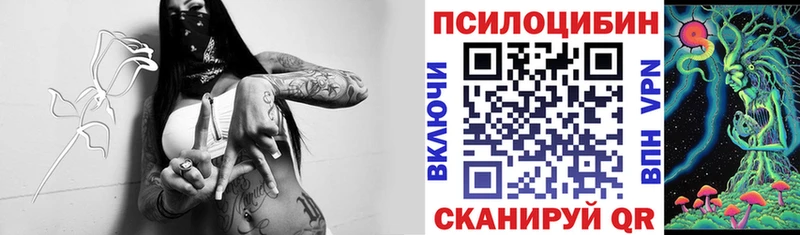 Купить закладки  Верхотурье  Псилоцибиновые грибы прущие грибы 